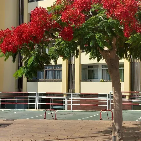 Tropical House Near Beach&yumbo Apartment San Bartolome de Tirajana (Gran Canaria)